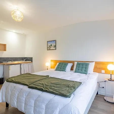 Feriehus Grand Familial Pres Du Puy Du Fou, Wifi, Animaux Admis, Jardin - Fr-1-622-96 *